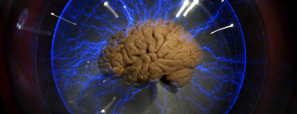Brain-Tracking Devices Force States to Bolster Privacy Laws (Bloomberg Government, Law, and Tax